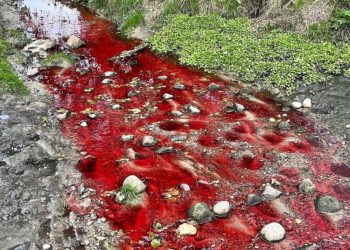 Czerwona woda w rzece w Łodzi! „Pobrano próbki do badań” [FOTO]