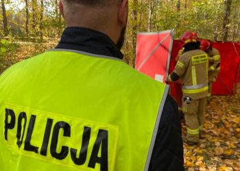 Katastrofa szybowca pod Częstochową. Są ofiary śmiertelne