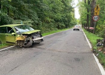 Kierowca walczył z… pszczołą. Skończyło się koszmarnie