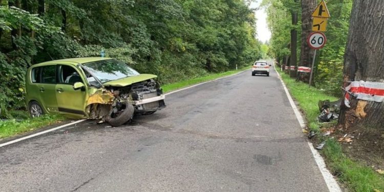 Kierowca walczył z… pszczołą. Skończyło się koszmarnie