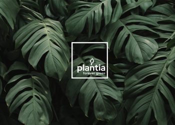 Plantia – polska marka w obiektywie