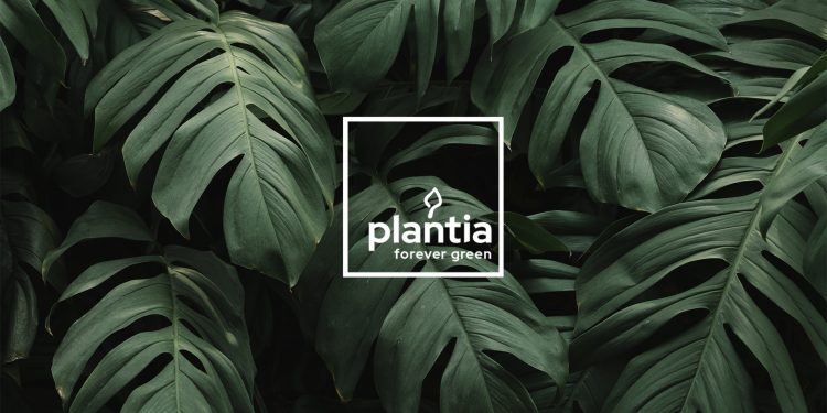 Plantia – polska marka w obiektywie