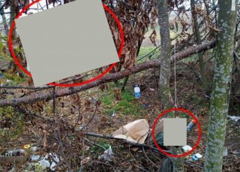 Szokujące zdjęcie z opuszczonych rosyjskich pozycji. Na to okrucieństwo wobec zwierząt brakuje słów [FOTO]