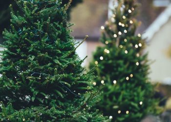 Kolejny cios przed świętami. Za ten produkt zapłacimy znacznie więcej