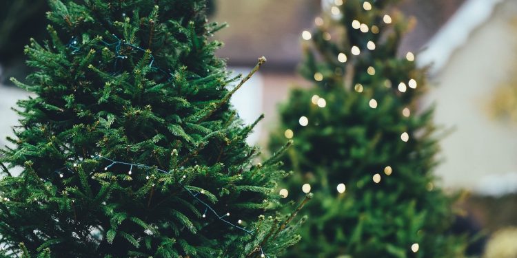 Kolejny cios przed świętami. Za ten produkt zapłacimy znacznie więcej