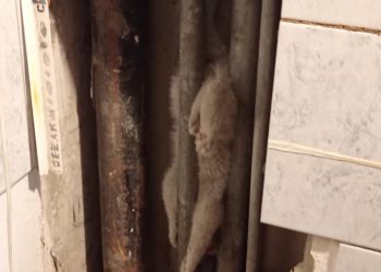 Strażacy musieli rozkuć ścianę. Oniemieli gdy zobaczyli, co było w środku [FOTO]