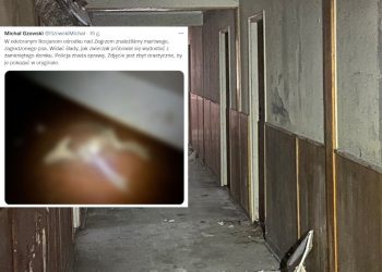 Rosjanie opuścili ośrodek ambasady. Makabryczne odkrycie w środku [FOTO]