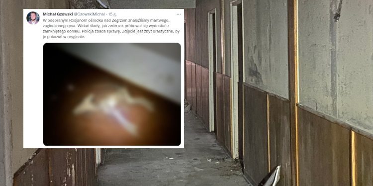 Rosjanie opuścili ośrodek ambasady. Makabryczne odkrycie w środku [FOTO]