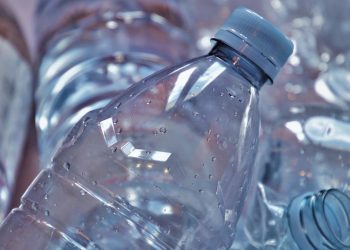 Jemy plastik każdego dnia. Polska badaczka oszacowała, ile tygodniowo. Szokujący wynik!