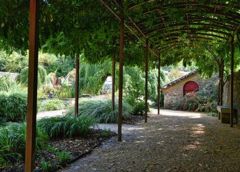 Jaką pergole wybrać, aby stanowiła ozdobę na lata?