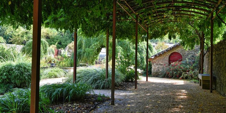 Jaką pergole wybrać, aby stanowiła ozdobę na lata?