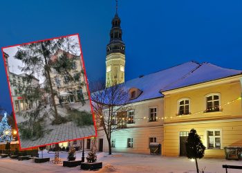 Choinka w Zielonej Górze zszokowała nawet prezydenta miasta. „Wiem, że kryzys, ale bez przesady” [FOTO]
