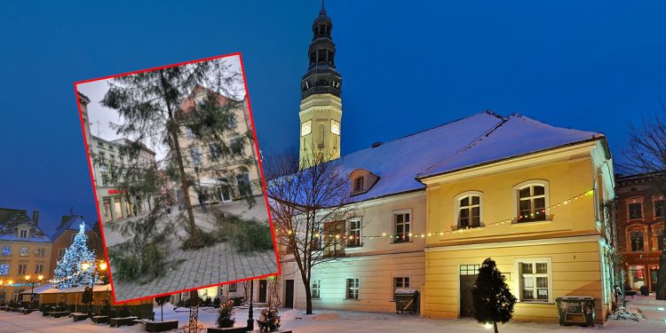 Choinka w Zielonej Górze zszokowała nawet prezydenta miasta. „Wiem, że kryzys, ale bez przesady” [FOTO]