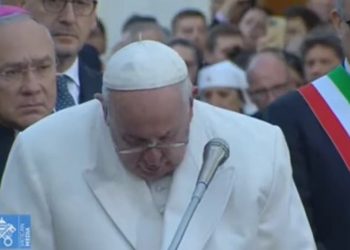 franciszek papież