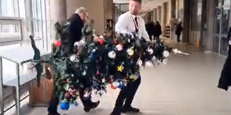 braun złapał za choinkę