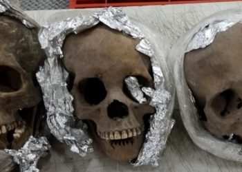 Czaszki w przesyłce pocztowej. Makabryczne odkrycie na lotnisku