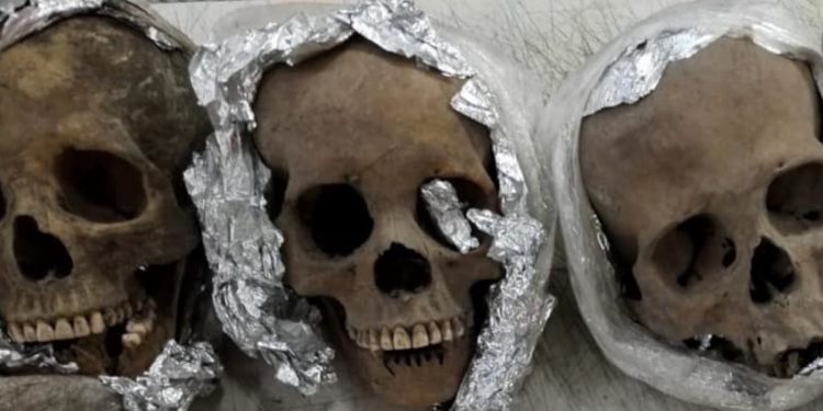 Czaszki w przesyłce pocztowej. Makabryczne odkrycie na lotnisku