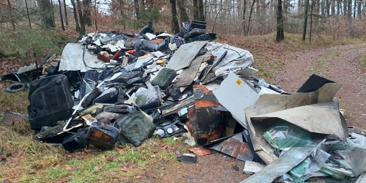 Leśnicy pokazali zdjęcie hałdy śmieci. W nocy stało się coś zdumiewającego