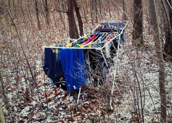 Leśnicy osłupieli, gdy zobaczyli to w środku lasu. „Gdy myślisz, że nic Cię nie zaskoczy”