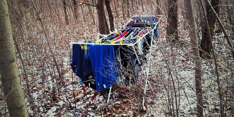 Leśnicy osłupieli, gdy zobaczyli to w środku lasu. „Gdy myślisz, że nic Cię nie zaskoczy”