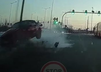 Mustang skończył podróż na latarni. „Lampa uratowała mi zdrowie, a może i coś więcej…” [WIDEO]