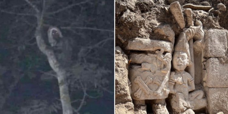 Prezydent Meksyku zobaczył zjawę? Pokazał zdjęcie i wywołał poruszenie [FOTO]