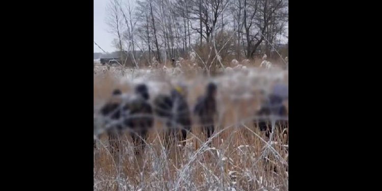 Straż Graniczna pokazała nagranie, co się dzieje na granicy. To robią służby Białorusi [WIDEO]