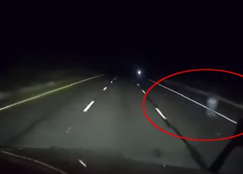 Kierowca zobaczył to na drodze. Bez nagrania nikt by nie uwierzył [WIDEO]