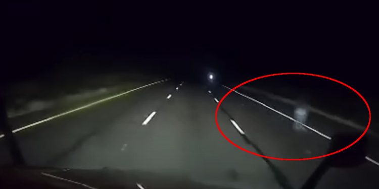 Kierowca zobaczył to na drodze. Bez nagrania nikt by nie uwierzył [WIDEO]