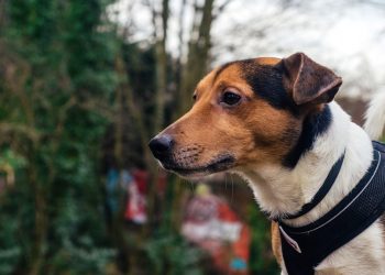 20230418114832_download