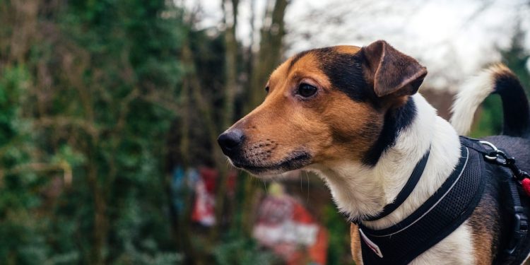 20230418114832_download