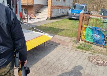 Mężczyzna pielęgnował własny ogród. Dokonał przerażającego odkrycia