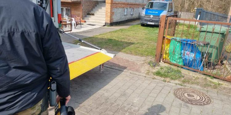 Mężczyzna pielęgnował własny ogród. Dokonał przerażającego odkrycia