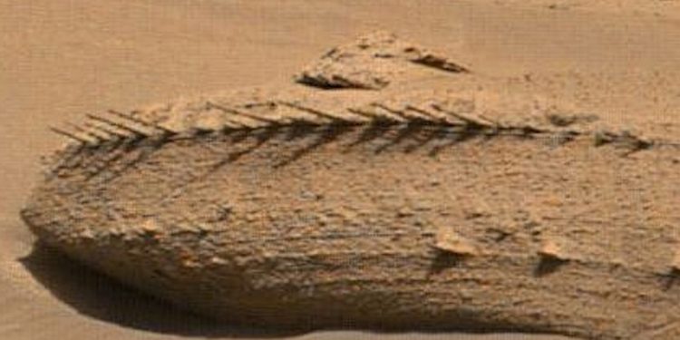 Na Marsie znaleźli… „szkielet smoka”? Niezwykłe odkrycie. Pokazali zdjęcie [FOTO]