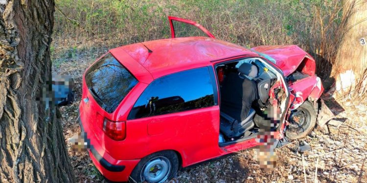 Koszmarny wypadek. Dramatyczna akcja ratunkowa