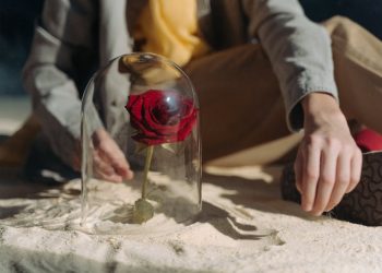 Książki dla dzieci o Małym Księciu