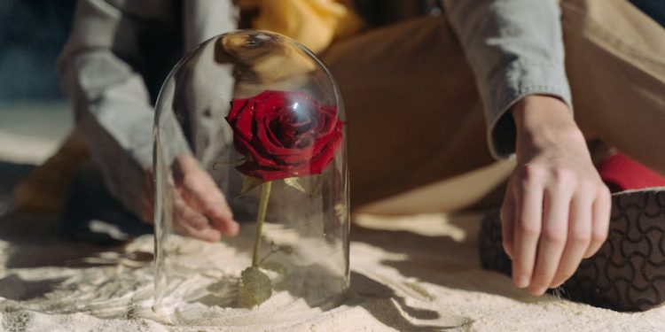 Książki dla dzieci o Małym Księciu