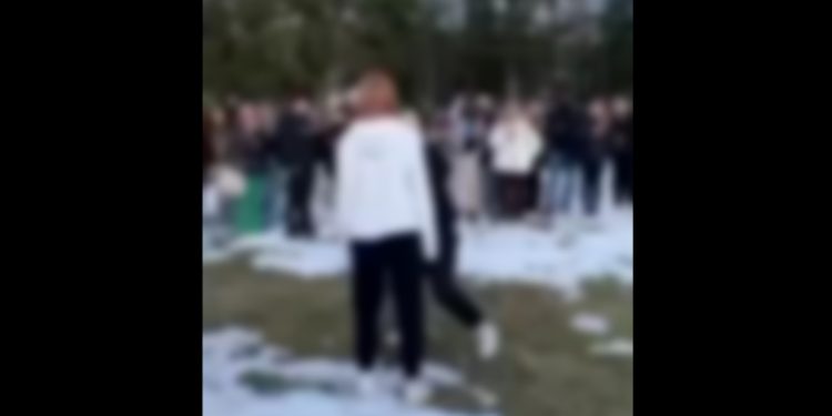 Bójka nastolatek. Szokujące ustalenia! Wszystko przez… ojca jednej z nich [WIDEO]