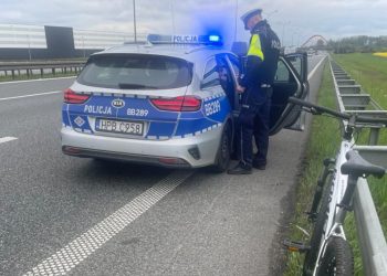 Pijany rowerzysta na autostradzie. Twierdził, że jedzie na… komunię, a rower to prezent