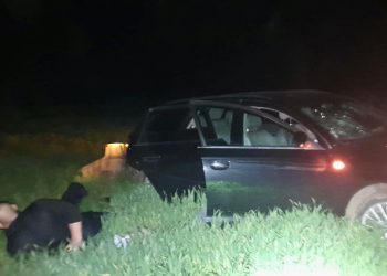 Strzały po pościgu przy granicy! Ukraińcy w rękach Straży Granicznej