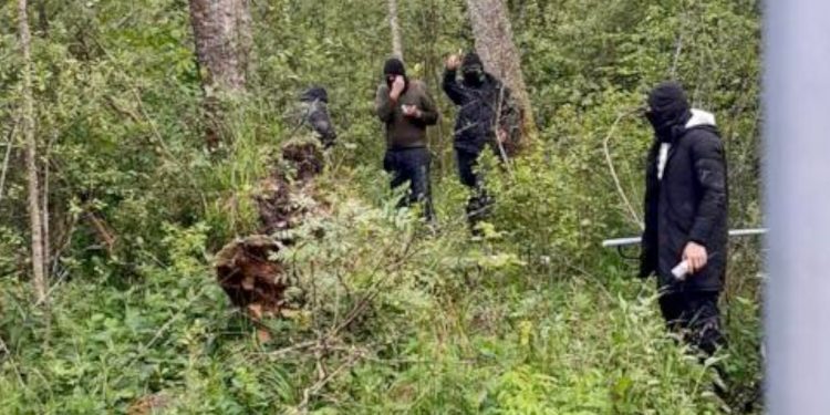 Zamaskowani napastnicy na polskiej granicy! Straż Graniczna reaguje