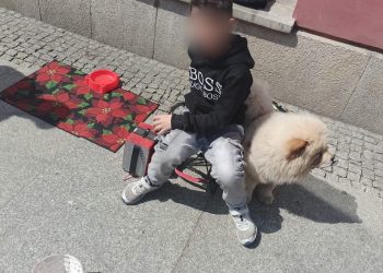 zdjęcie sm wrocław