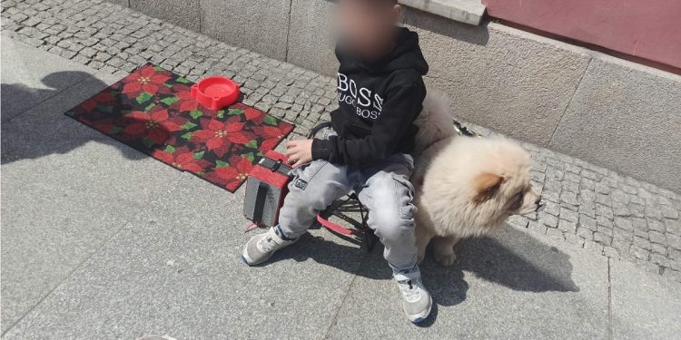 zdjęcie sm wrocław