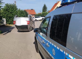 Owad wpadł do samochodu. Efekt? Jak na zdjęciach [FOTO]