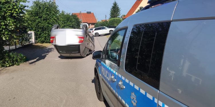 Owad wpadł do samochodu. Efekt? Jak na zdjęciach [FOTO]