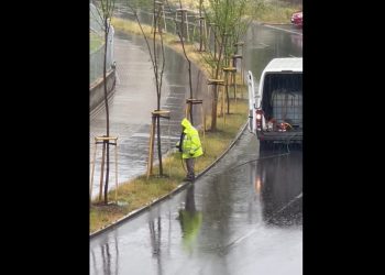 Podlewał drzewa w czasie ulewy. Miasto się tłumaczy [WIDEO]