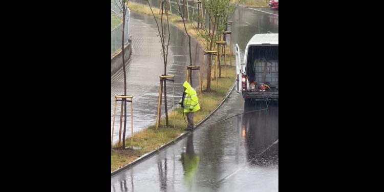 Podlewał drzewa w czasie ulewy. Miasto się tłumaczy [WIDEO]