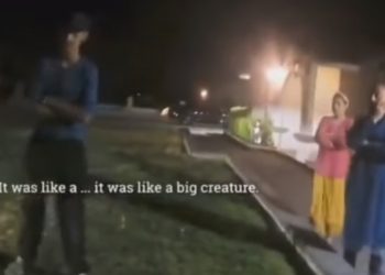 USA. Policjanci nagrali UFO?! Świadkowie widzieli kosmitów. „Wielkie oczy” [WIDEO]