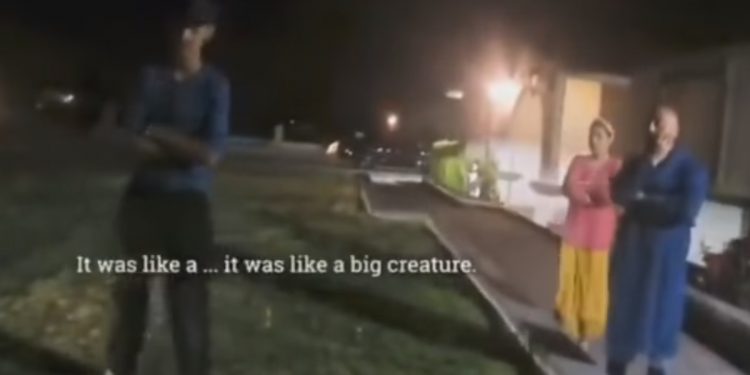 USA. Policjanci nagrali UFO?! Świadkowie widzieli kosmitów. „Wielkie oczy” [WIDEO]