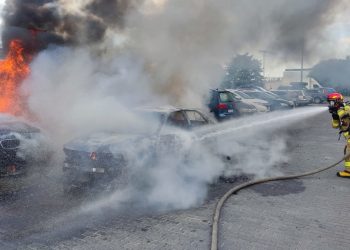 Wielki pożar przy lotnisku w Gdańsku! Płonęły samochody [FOTO]